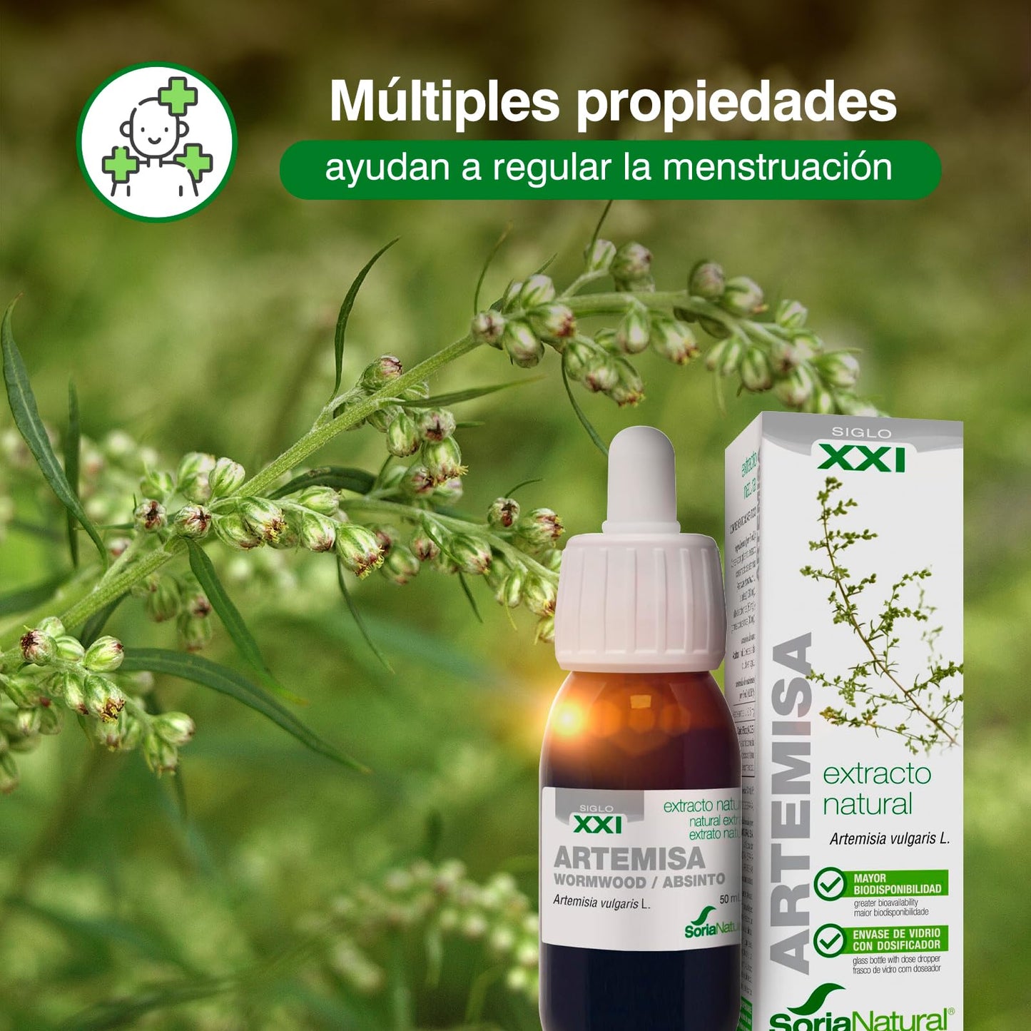 Soria Natural Extracto de Artemisa - Potente Antioxidante y Apoyo Inmunitario y digestivo - Mejora la Salud, Vitalidad y Refuerza tus Defensas - 100% Puro - Bote con 50ml