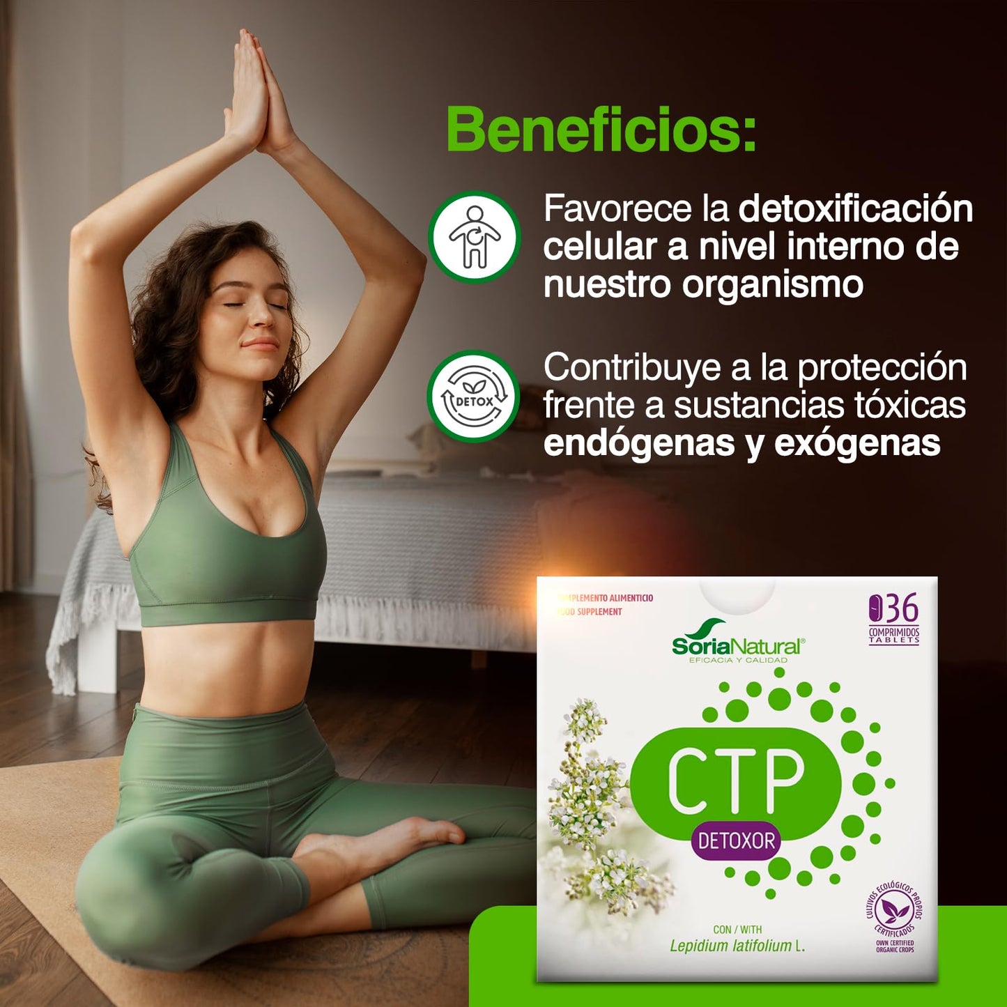 Soria Natural CTP Detoxor – Detoxificante Natural – Suplemento con Rompepiedras - 100% Natural - Ayuda a Eliminar los Tóxicos de las Células - 36 Comprimidos de 1g.